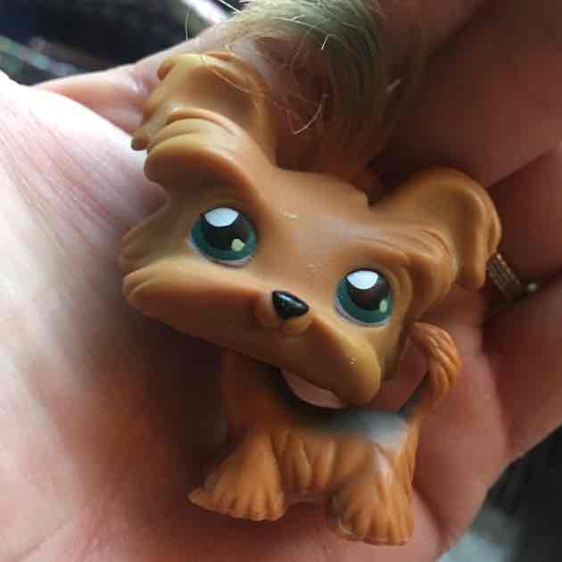 LPS Dog