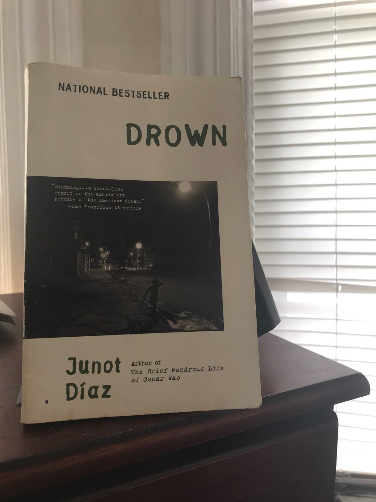 drown by junot daz