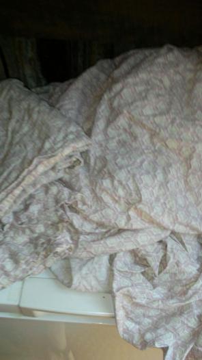 The company Store Duvet & Shams