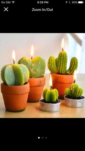 Mini Cactus Candles Home Decor