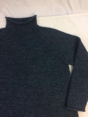 J. Crew nwt Wool Knit Turtle Neck Large