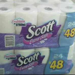 2 - Scott Toilet Paper