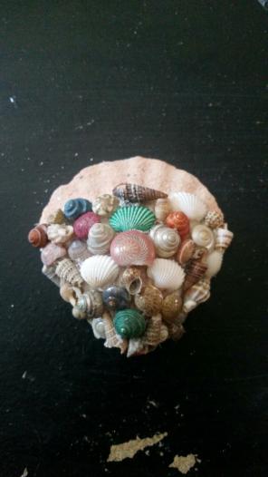 Mini shell and beach on shell