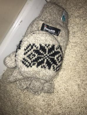 Brand New 3M Thinsulate Gloves By Alkii