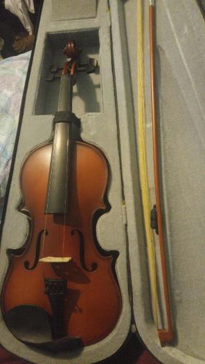 Violin