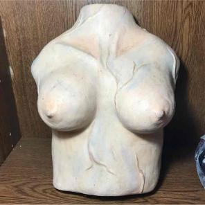 Veiny clay torso