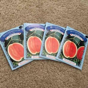 Watermelon seeds 4 packs for $4