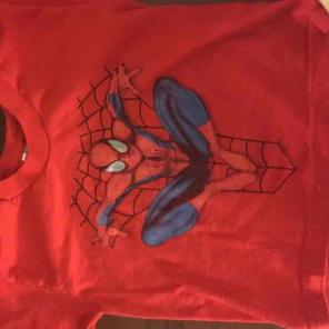 Kid's Spider-Man shirt!