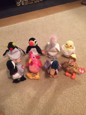 Bird Beanie Babies