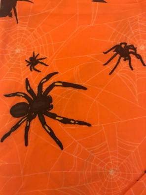 LuLaRoe Tc Halloween Leggings