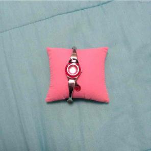 Little girls ladybug watch