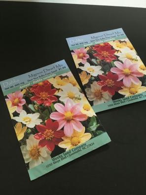 2 Dahlia Mix Flower Seeds Packages