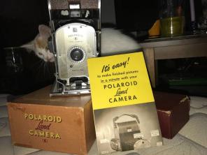 Polaroid Land Camera
