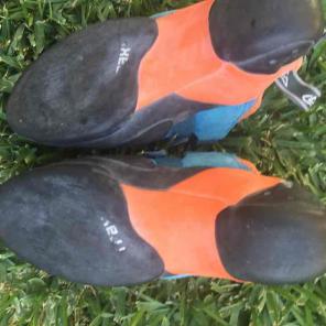 Evolv rock climbing shoes