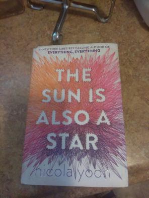 The sun is also a star book