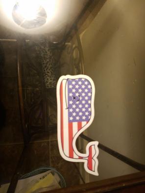 Rare different tail flag whale