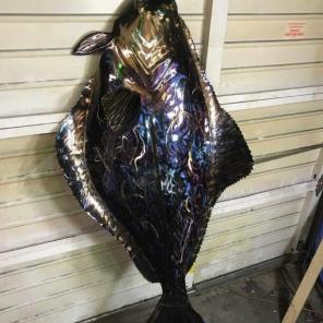 34" Halibut