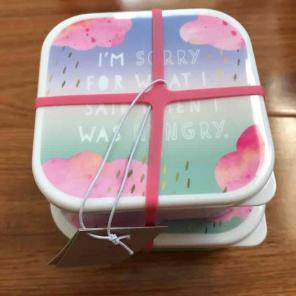 Two cute lunch boxes