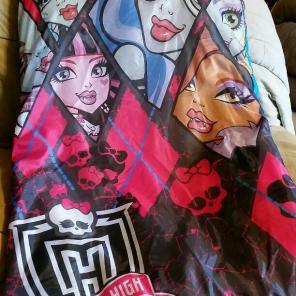 Child's sleeping bag