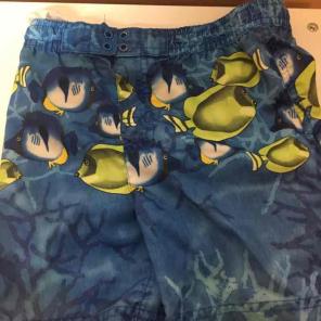 Swimming trunks
