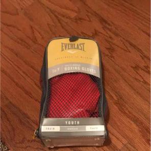 Everlast Youth Boxing Gloves