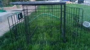 Dog cage