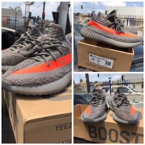 Size 10 Yeezys Boost 350 V2 Belugas