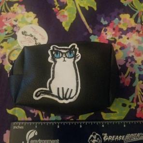 Cat cpin baggie