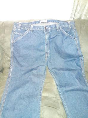 Carpenter Signature Levi Strauss