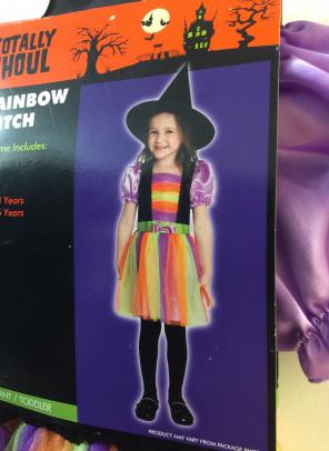 Toddler girls Rainbow witch costume