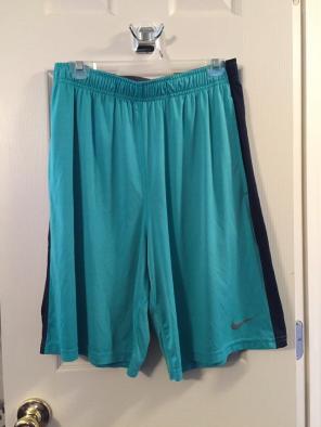 NIKE DRI- FIT SZ L SHORTS
