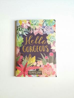 Orange Circle Studio 2018 Mini Planner