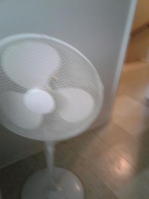 Fan