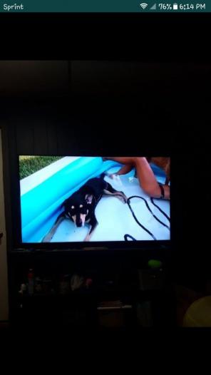 Kenmore elite LED 4k Ultra uhdtv 65"