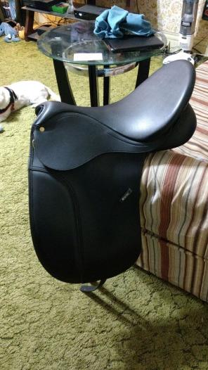 Wintec 250 dressage saddle package