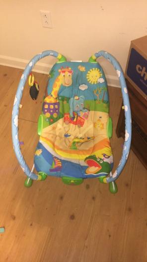 Bouncer Chair