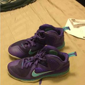 LeBron nine charlottes