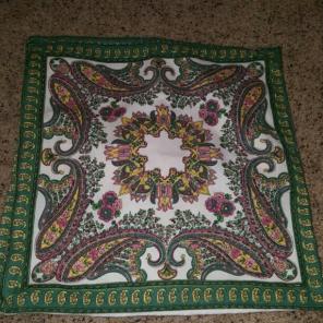 X2 Vintage Paisley pillow cases!