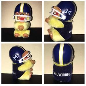Vintage 70s Michigan Wolverines Football