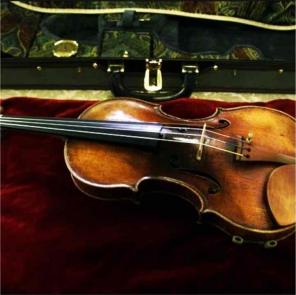 Violin