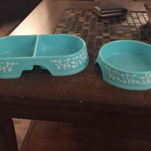 Cat food & water bowls