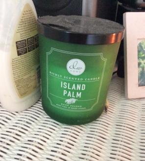 Island Palm