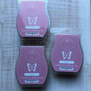 Scentsy Quiver -3 Bar Bundle