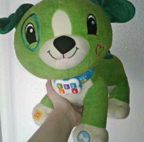 Leapfrog Medium puppy