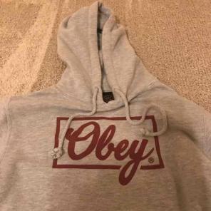 Obey Grey Hoodie