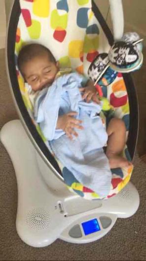 4mom mamaroo plush