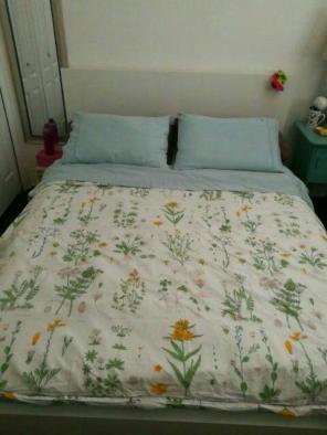White Ikea Bed Fran. LIKE NEW!