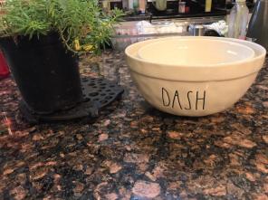 Rae Dunn Dash Bowl