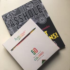 RARE Adult Coloring book And Pencils