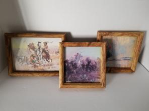 American Indian Framed Pictures